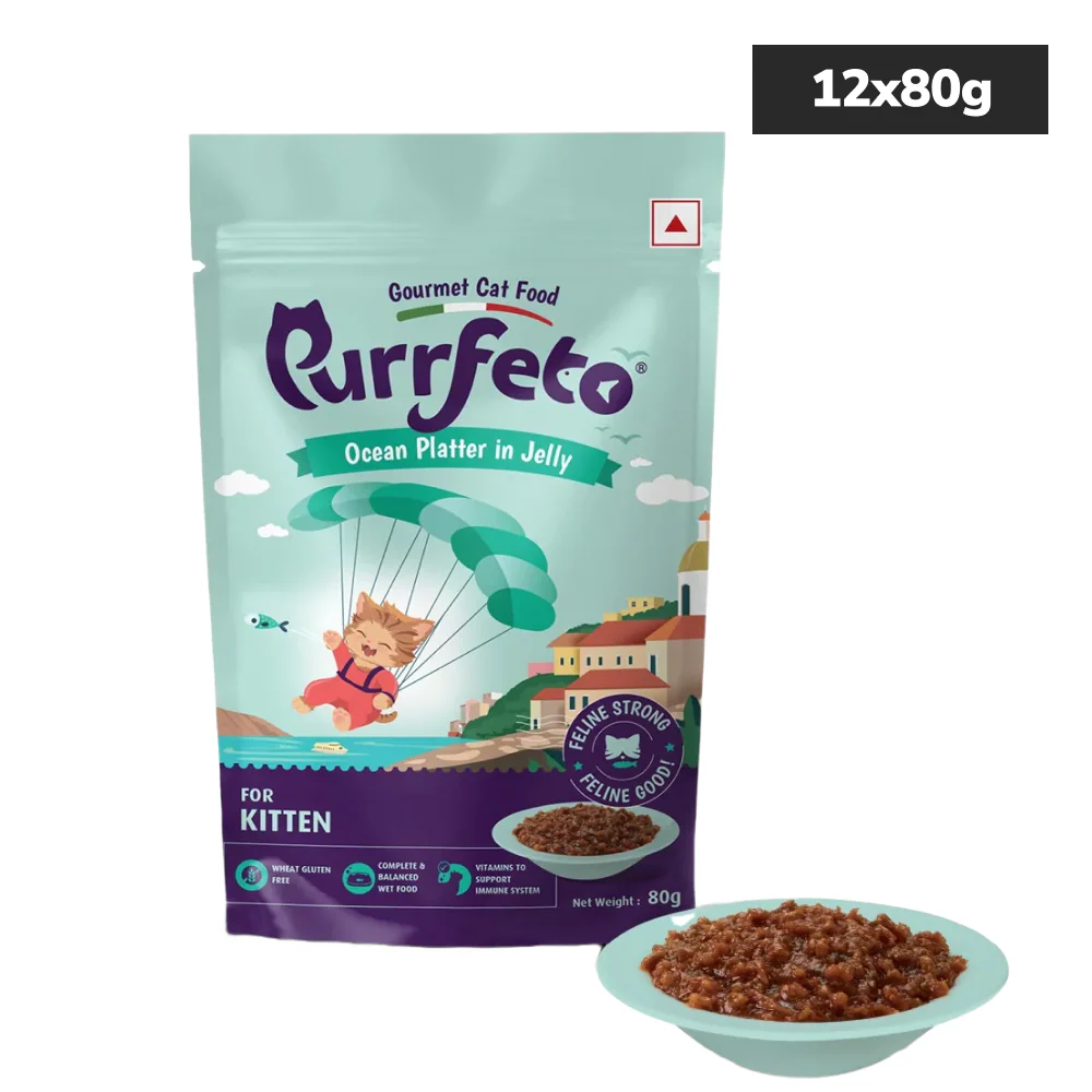 Purrfeto Oceanfish Recipe in Jelly Kitten Cat Wet Food - Image 5