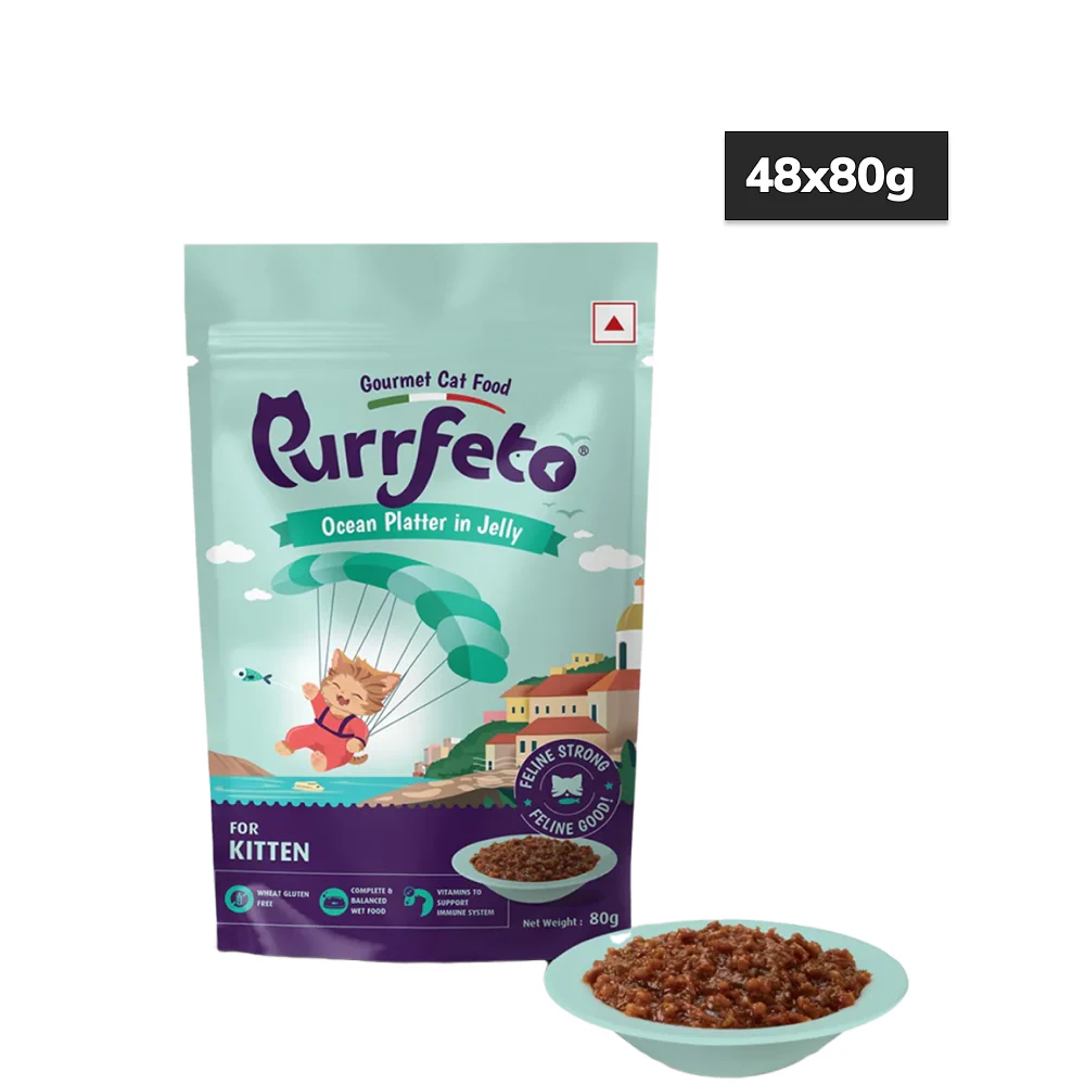 Purrfeto Oceanfish Recipe in Jelly Kitten Cat Wet Food - Image 7