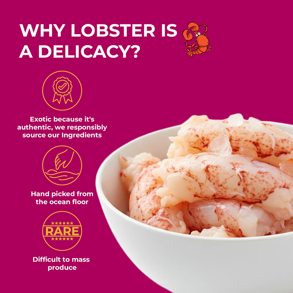 Purrkins Lobster & Chicken Soft Jerky Cat Treats - Image 7