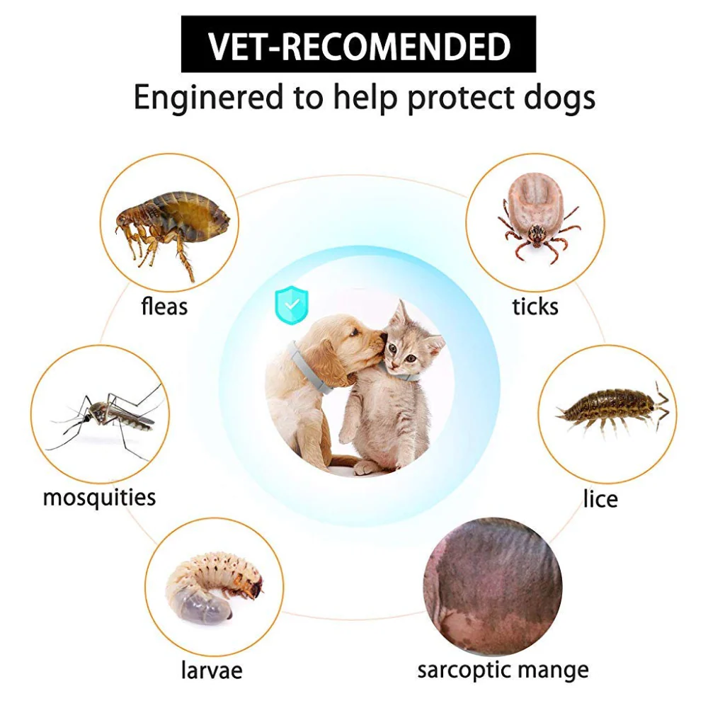 QPets Adjustable Waterproof Tick & Flea Collar for Dogs and Cats (Grey) - Image 3