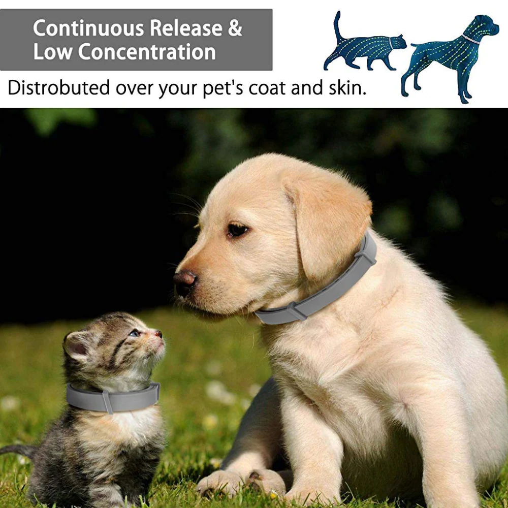 QPets Adjustable Waterproof Tick & Flea Collar for Dogs and Cats (Grey) - Image 4