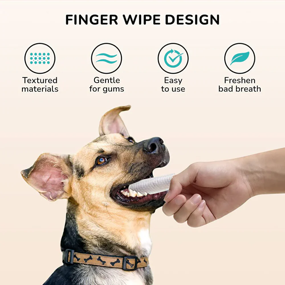 QPets Finger Dental Wipes for Dogs and Cats - Image 3