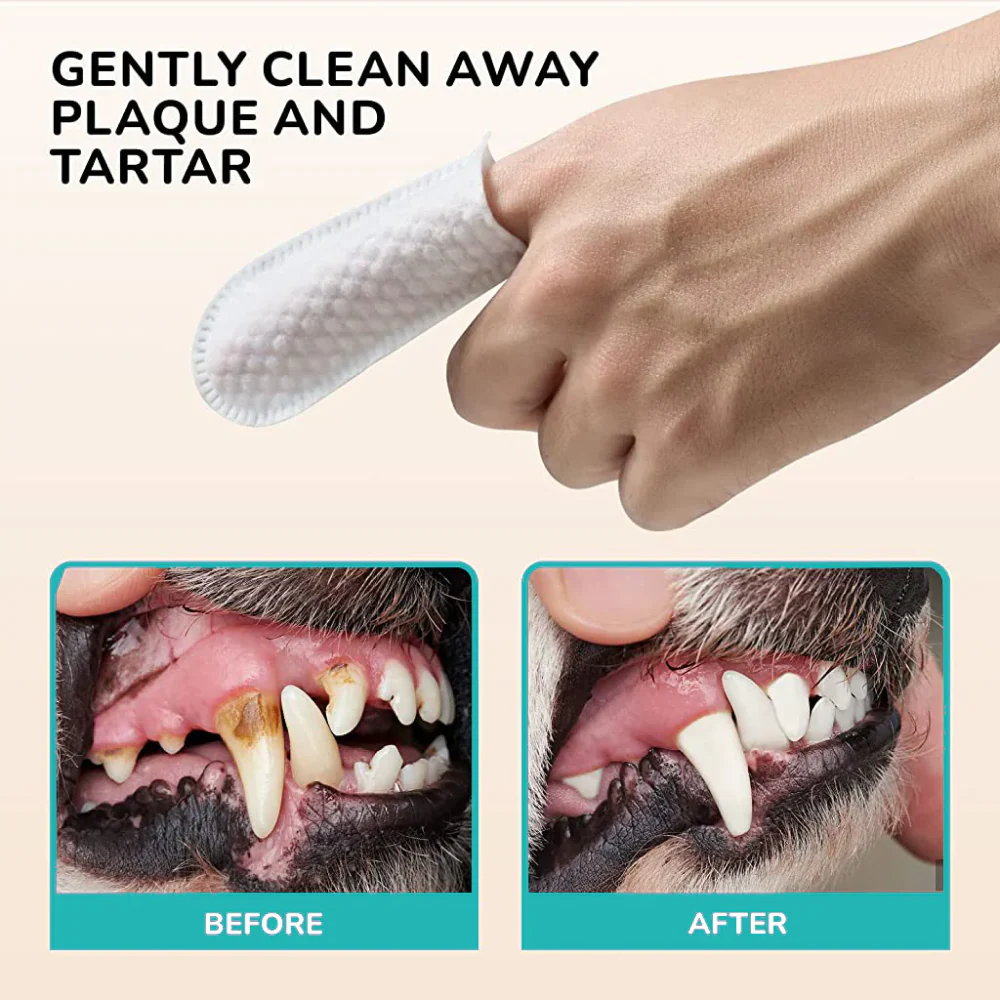 QPets Finger Dental Wipes for Dogs and Cats - Image 4