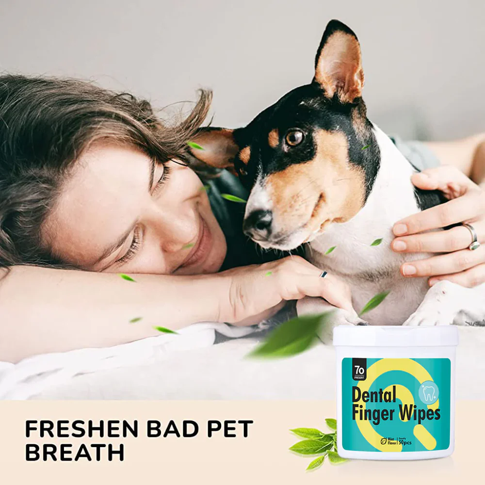 QPets Finger Dental Wipes for Dogs and Cats - Image 5
