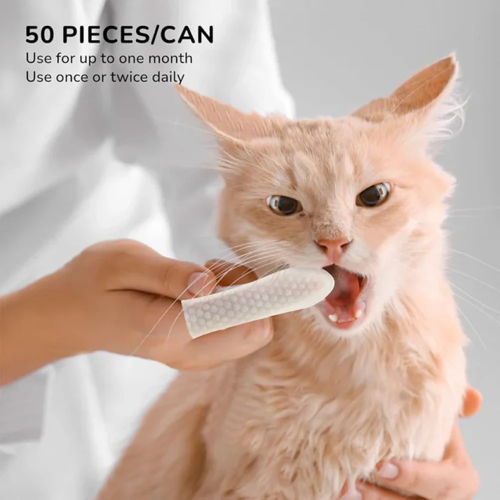 QPets Finger Dental Wipes for Dogs and Cats - Image 6