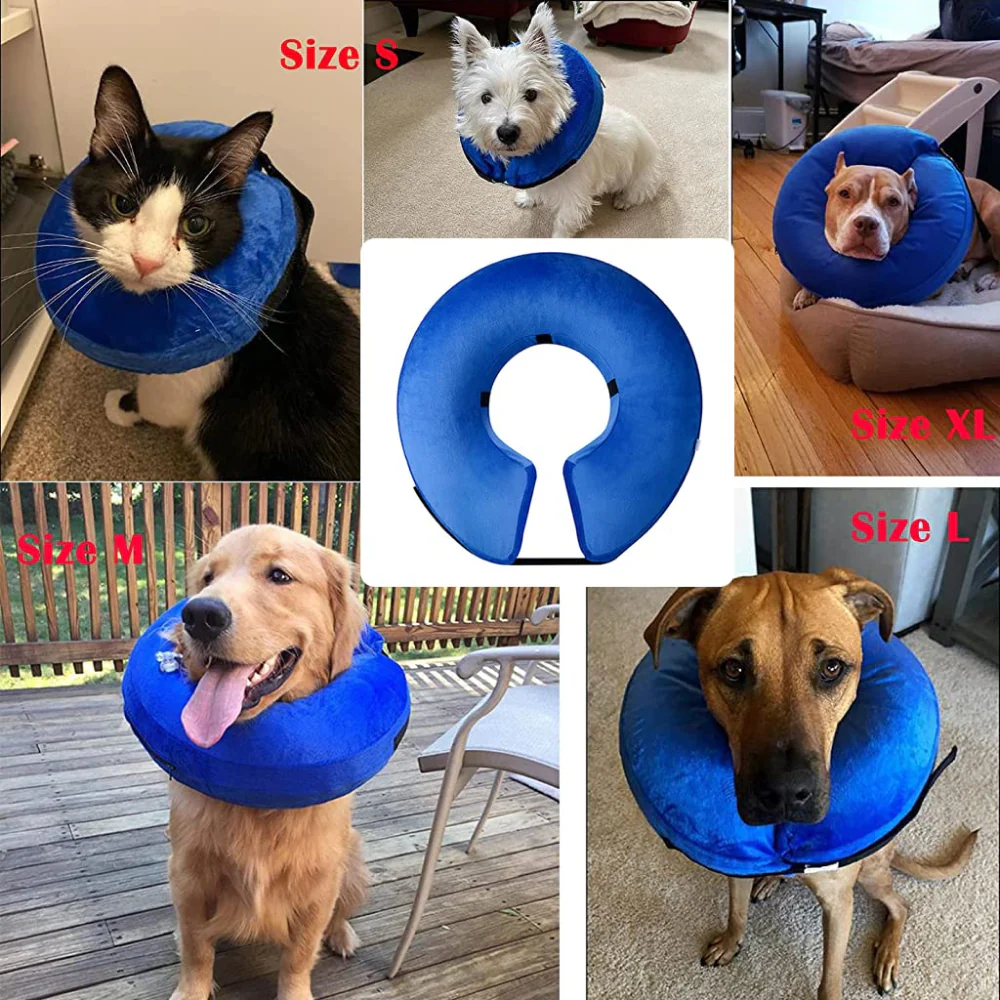 QPets Inflatable E Collar for Dogs and Cats (Blue) - Image 7