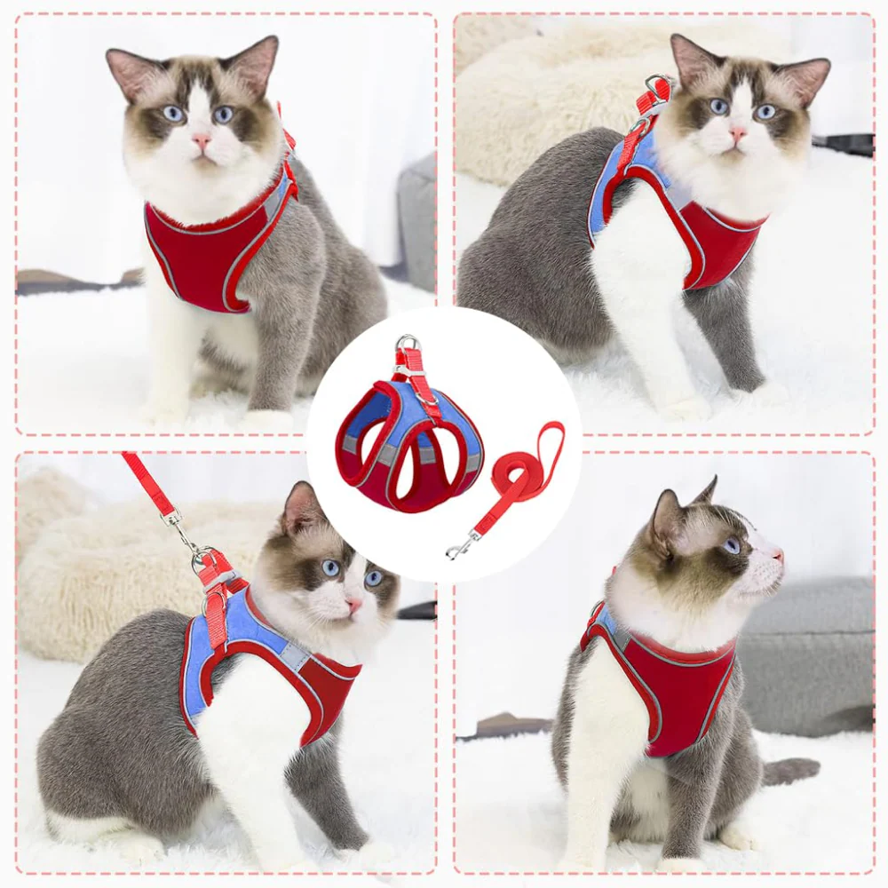 QPets Reflective Mesh Vest Harness with Leash for Cats (Blue/Red) - Image 7