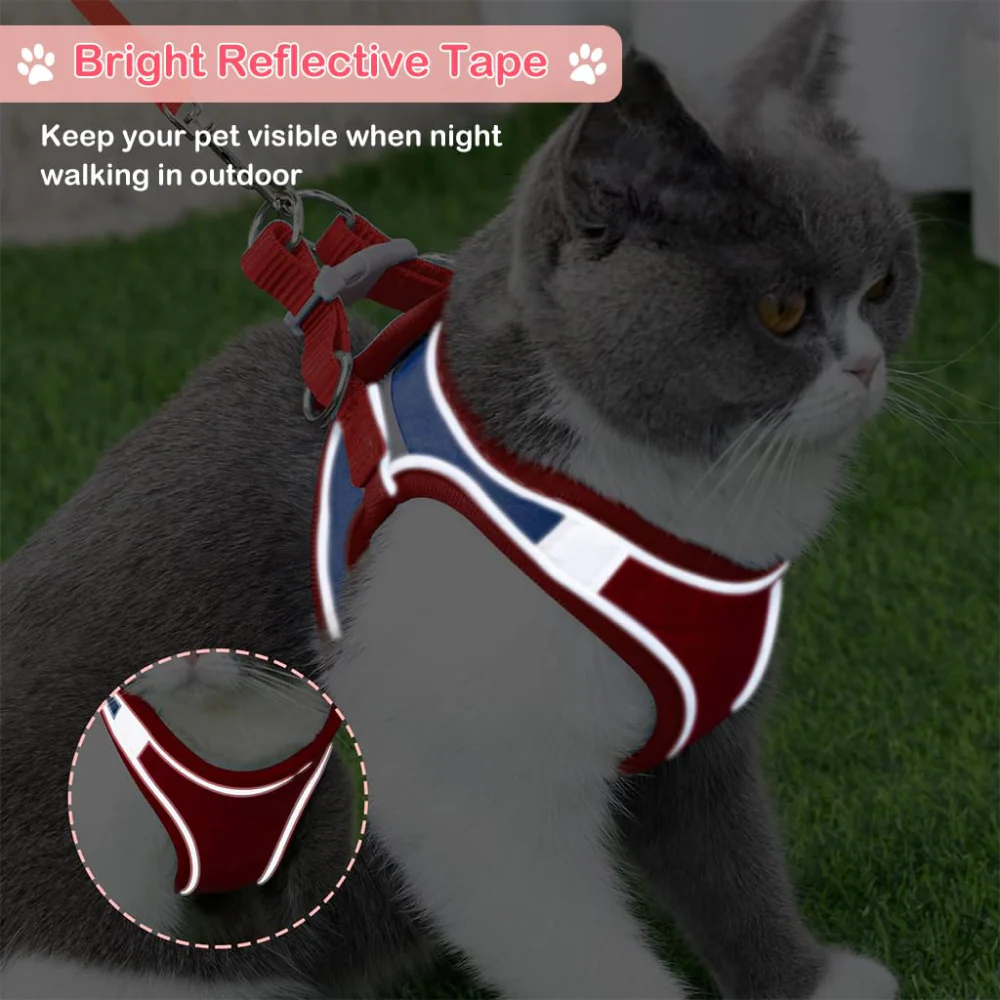 QPets Reflective Mesh Vest Harness with Leash for Cats (Blue/Red) - Image 8