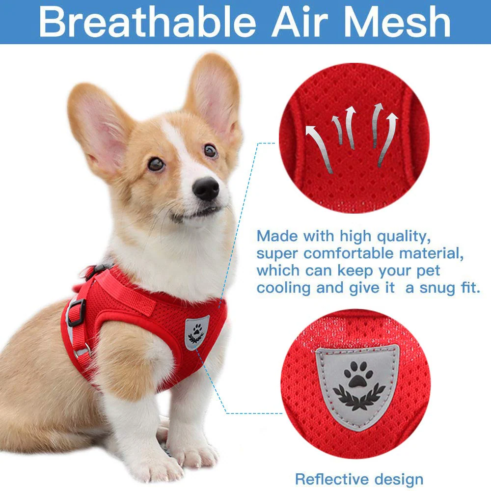 QPets Reflective Mesh Vest Harness with Leash for Dogs and Cats (Red) - Image 3