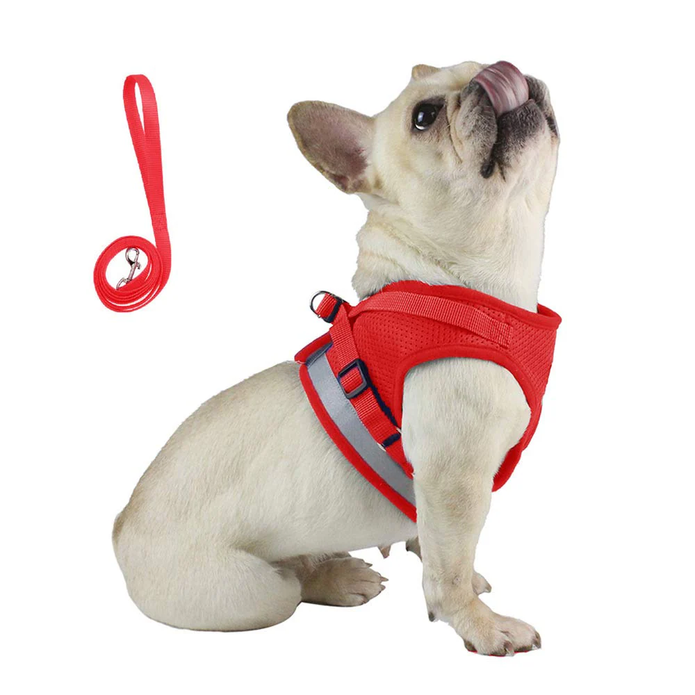 QPets Reflective Mesh Vest Harness with Leash for Dogs and Cats (Red) - Image 5