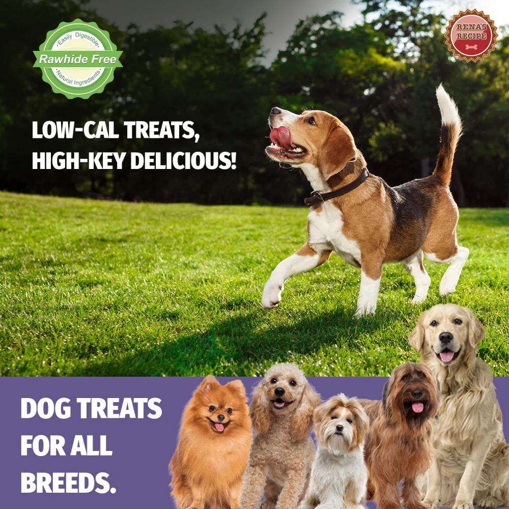Rena Love Dumbbell Treats for Dogs - Image 4