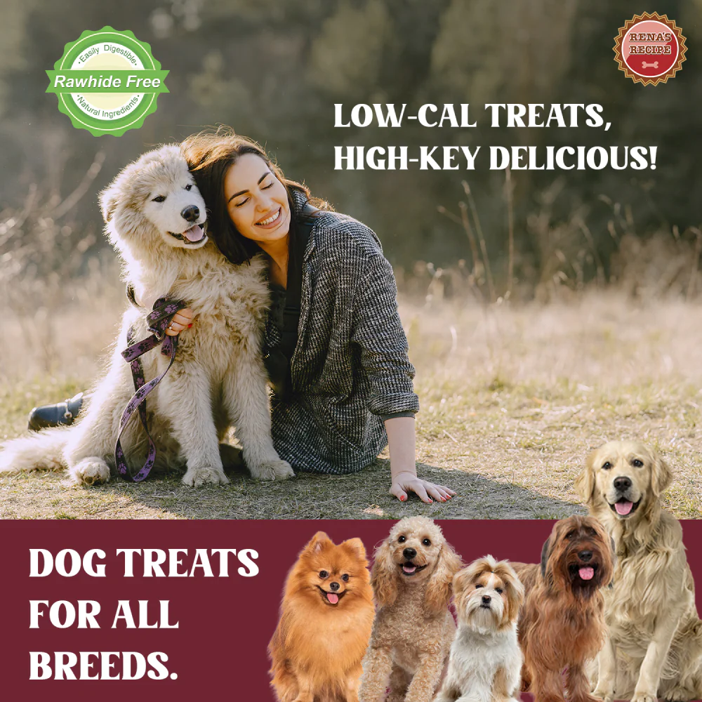 Rena Love Kabobs Dog Treats - Image 6