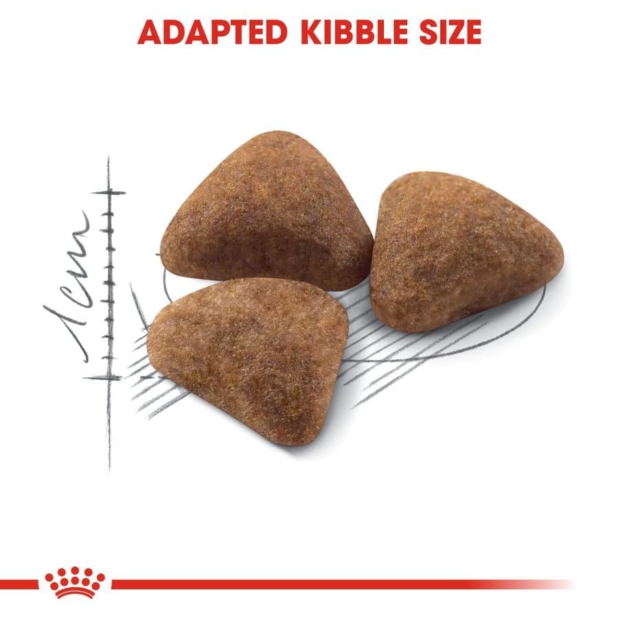 Royal Canin Indoor Adult Cat Dry Food - Image 3