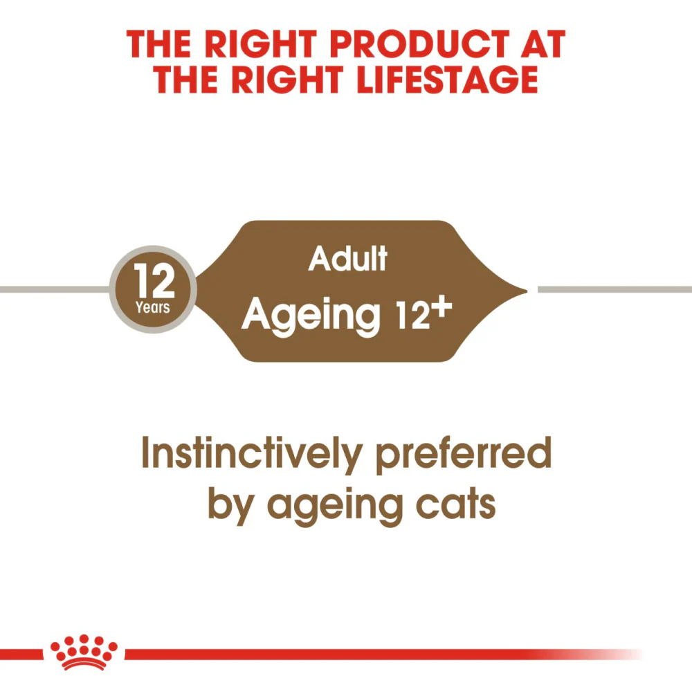 Royal Canin Ageing +12 Adult Cat Wet Food - Image 3