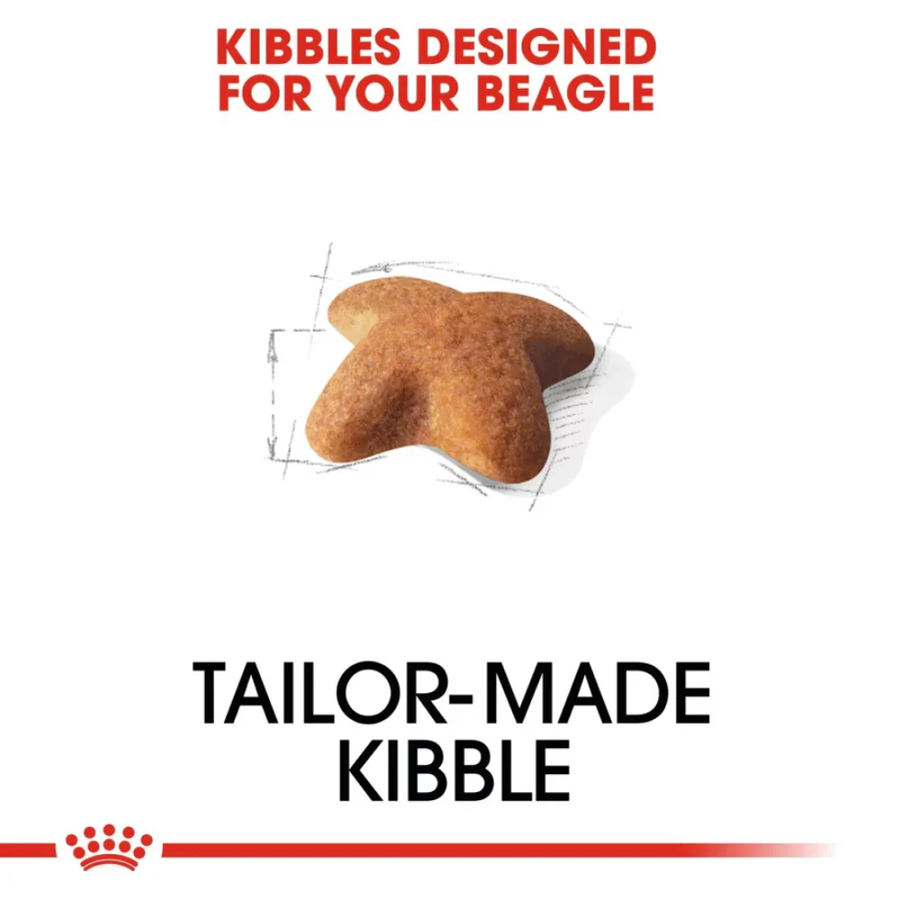 Royal Canin Beagle Adult Dog Dry Food - Image 3