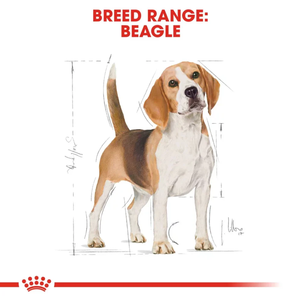 Royal Canin Beagle Adult Dog Dry Food - Image 5