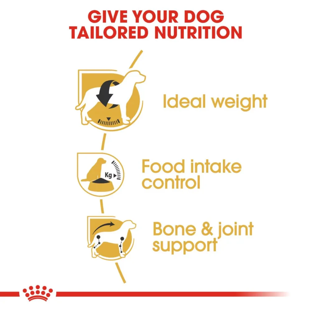 Royal Canin Beagle Adult Dog Dry Food - Image 7