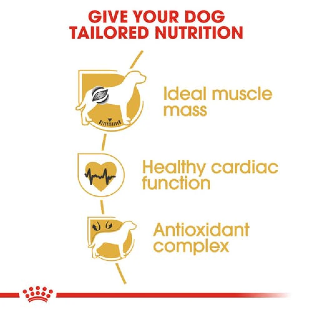Royal Canin Boxer Dry Food and Maxi Adult Dog Wet Food Combo - Image 4