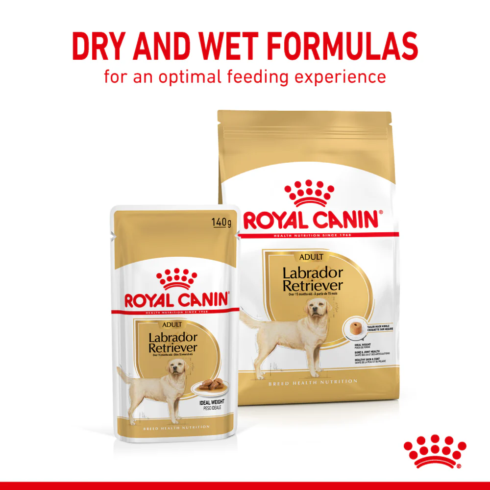 Royal Canin Chunks In Gravy Labrador Retriever Adult Dog Wet Food - Image 4