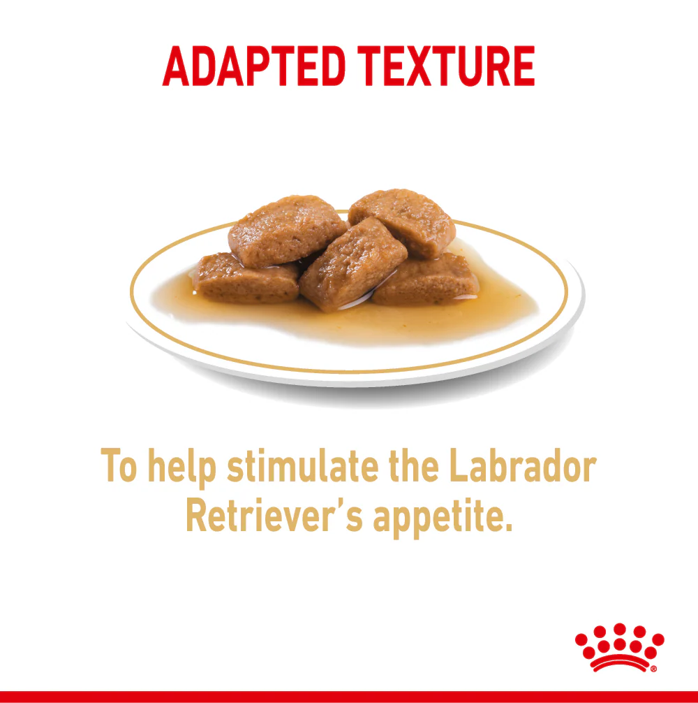 Royal Canin Chunks In Gravy Labrador Retriever Adult Dog Wet Food - Image 5