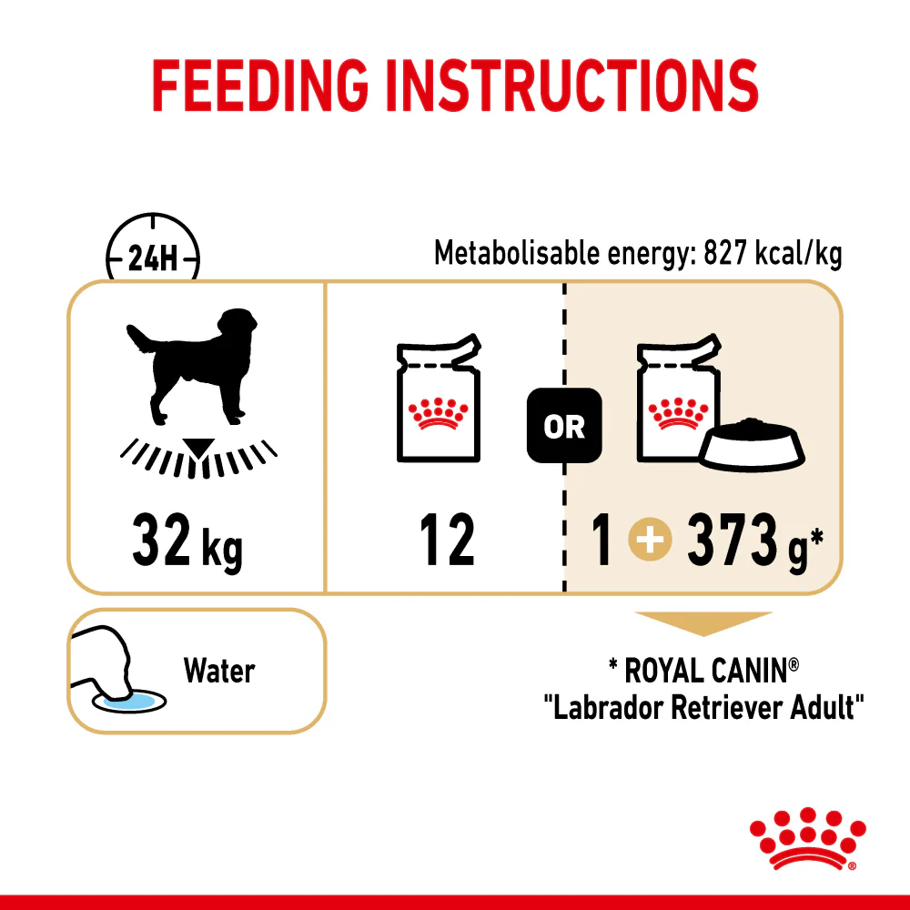 Royal Canin Chunks In Gravy Labrador Retriever Adult Dog Wet Food - Image 7