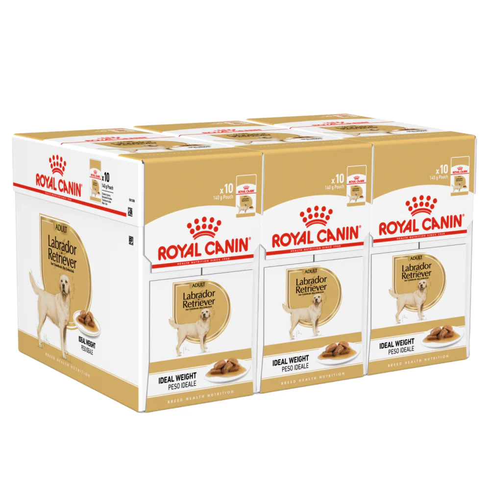 Royal Canin Chunks In Gravy Labrador Retriever Adult Dog Wet Food - Image 8