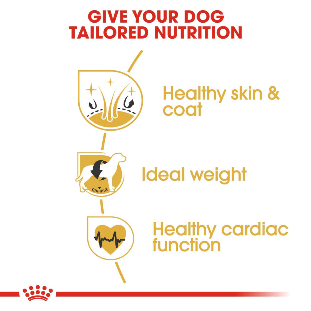 Royal Canin Cocker Adult Dog Dry Food - Image 2