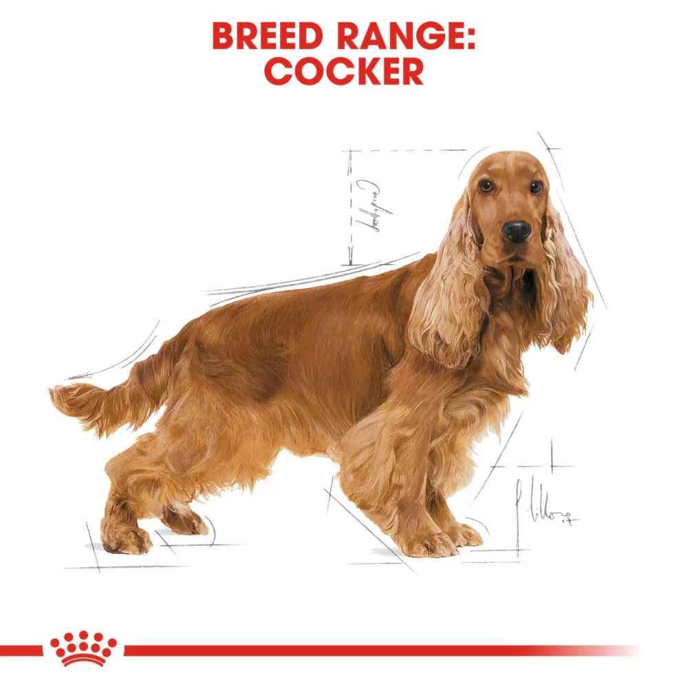 Royal Canin Cocker Adult Dog Dry Food - Image 5