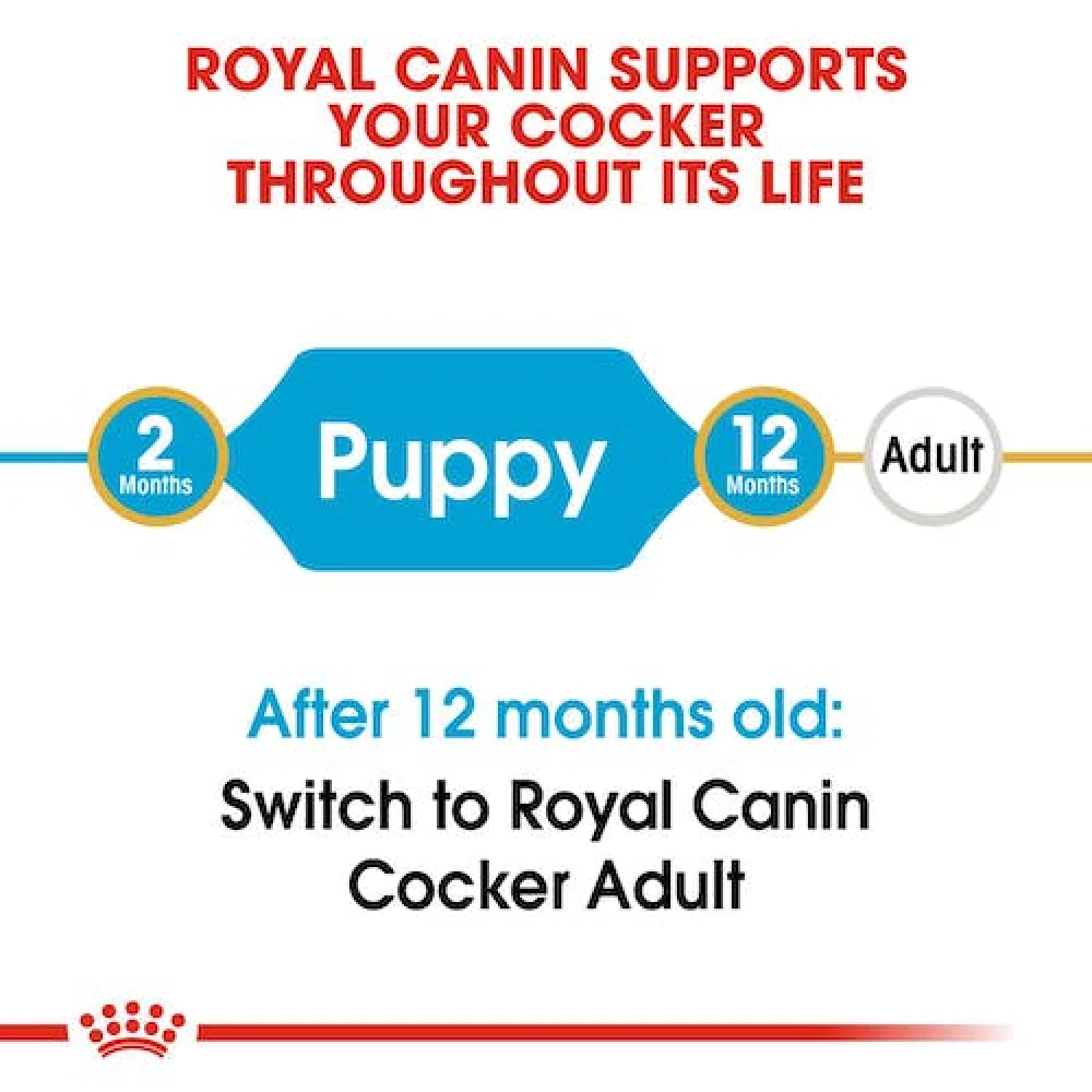 Royal Canin Cocker Puppy Dry Food - Image 6