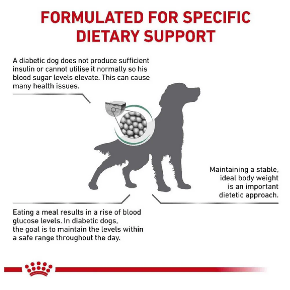 Royal Canin Diabetic Canine Dog Dry Food - Image 2