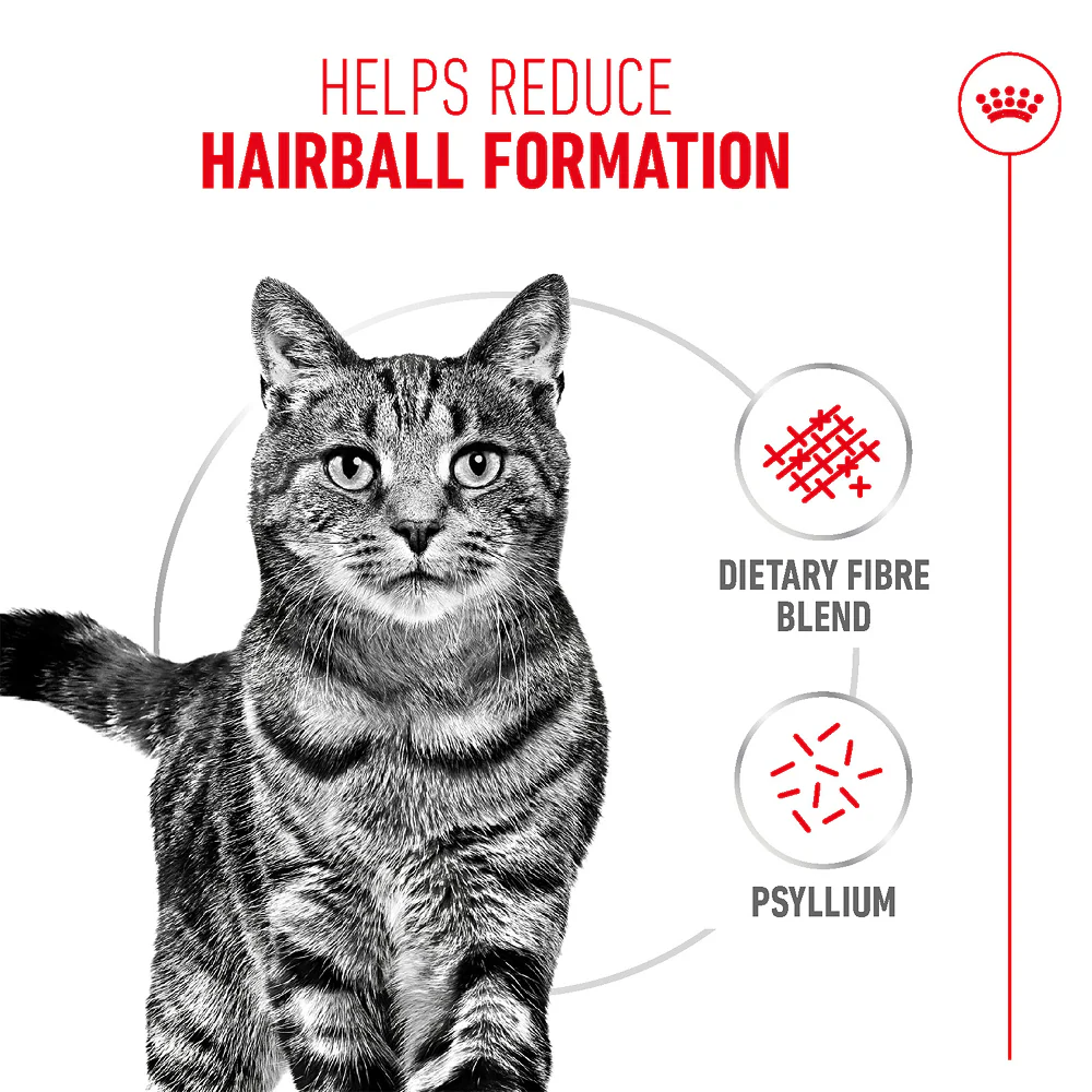 Royal Canin Hairball Care Food for Adult Cat Dry Food - Image 4