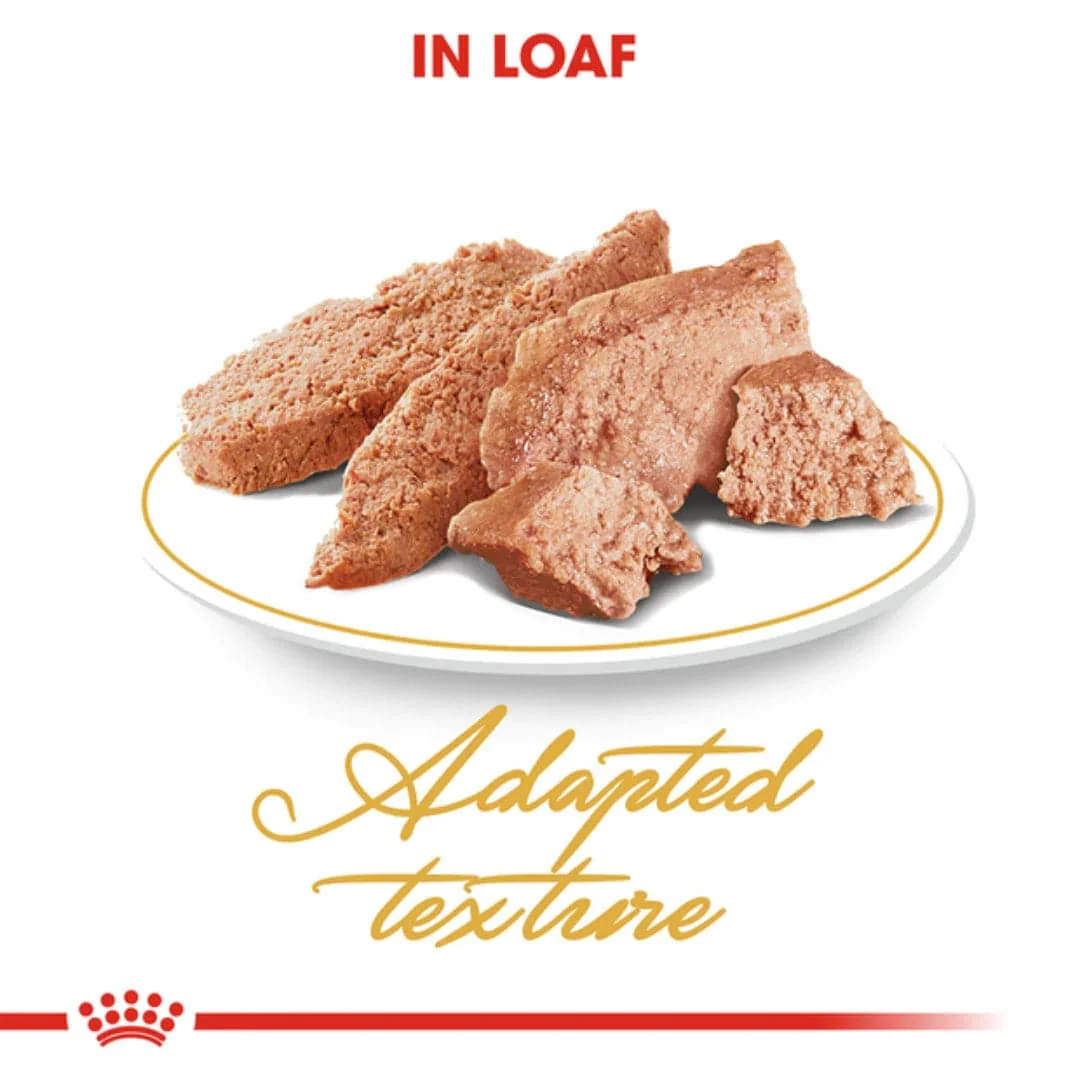 Royal Canin Persian Adult Loaf Cat Wet Food - Image 4