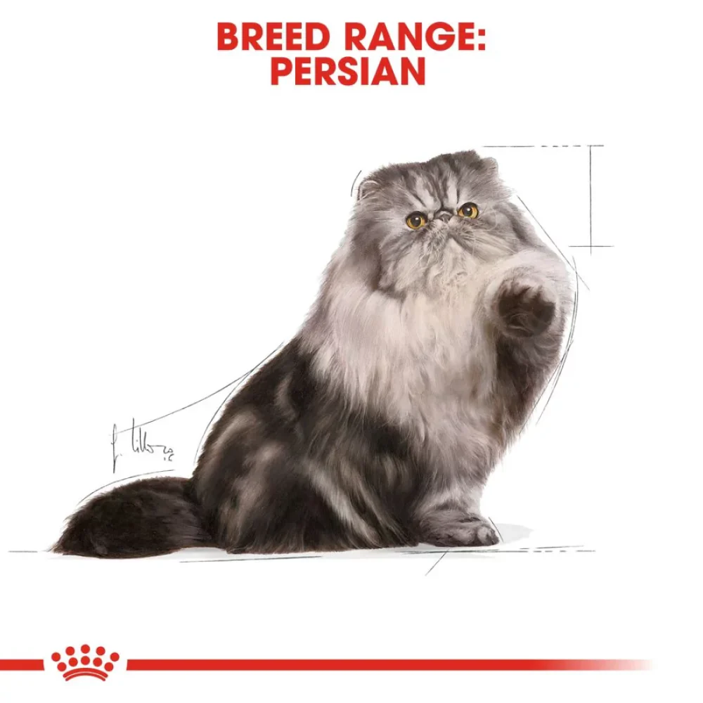 Royal Canin Persian Adult Loaf Cat Wet Food - Image 7