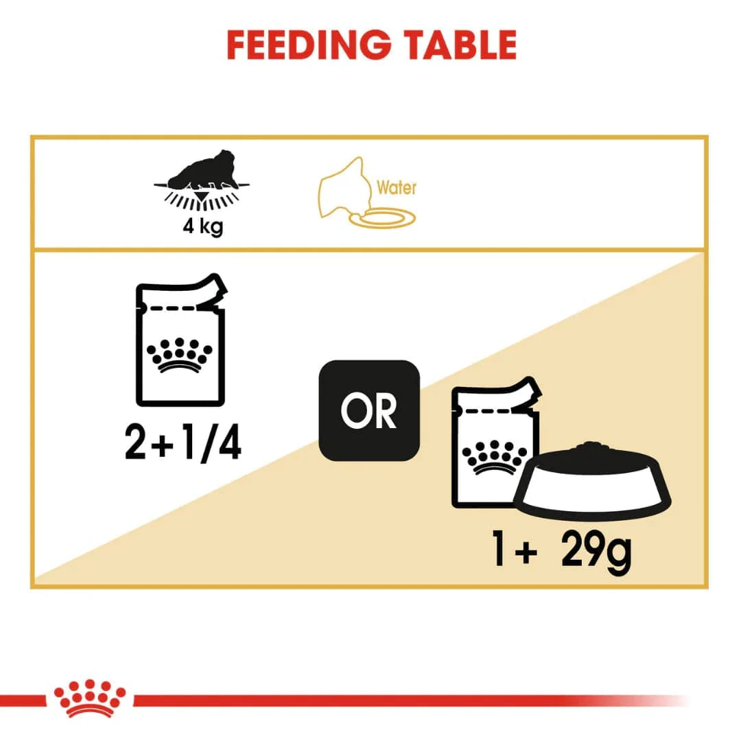 Royal Canin Persian Adult Loaf Cat Wet Food - Image 6