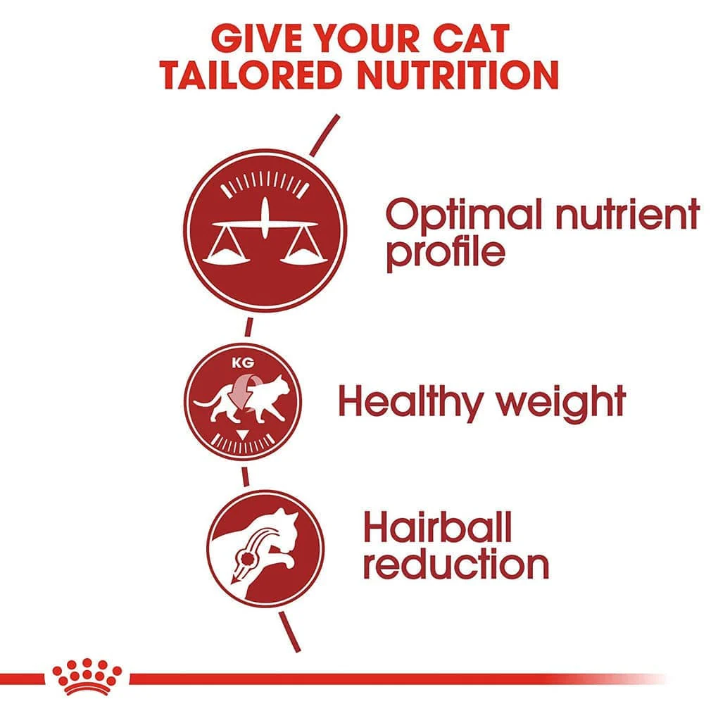 Royal Canin Fit 32 Regular for Adult Cat Dry Food - Image 3