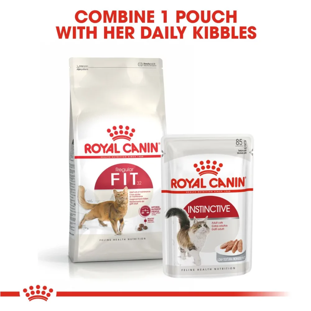 Royal Canin Fit 32 Regular for Adult Cat Dry Food - Image 7