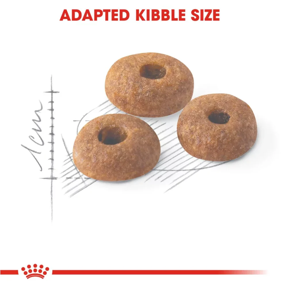 Royal Canin Fit 32 Regular for Adult Cat Dry Food - Image 4