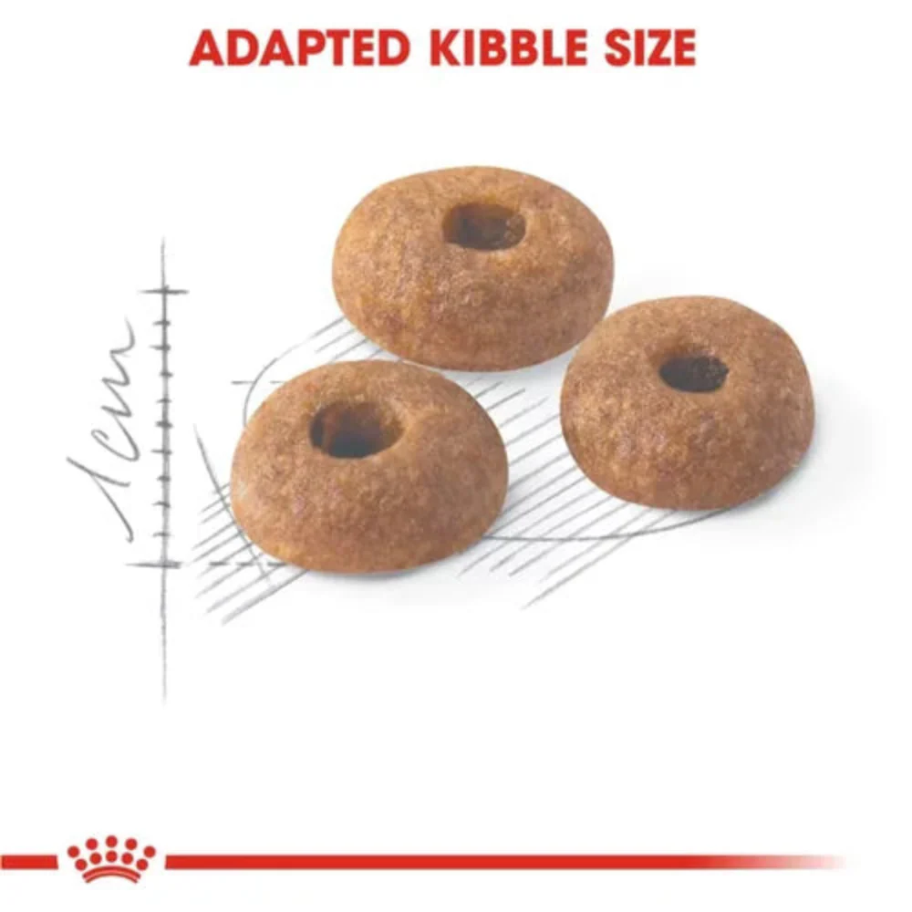Royal Canin Fit 32 Regular for Adult Cat Dry Food - Image 4