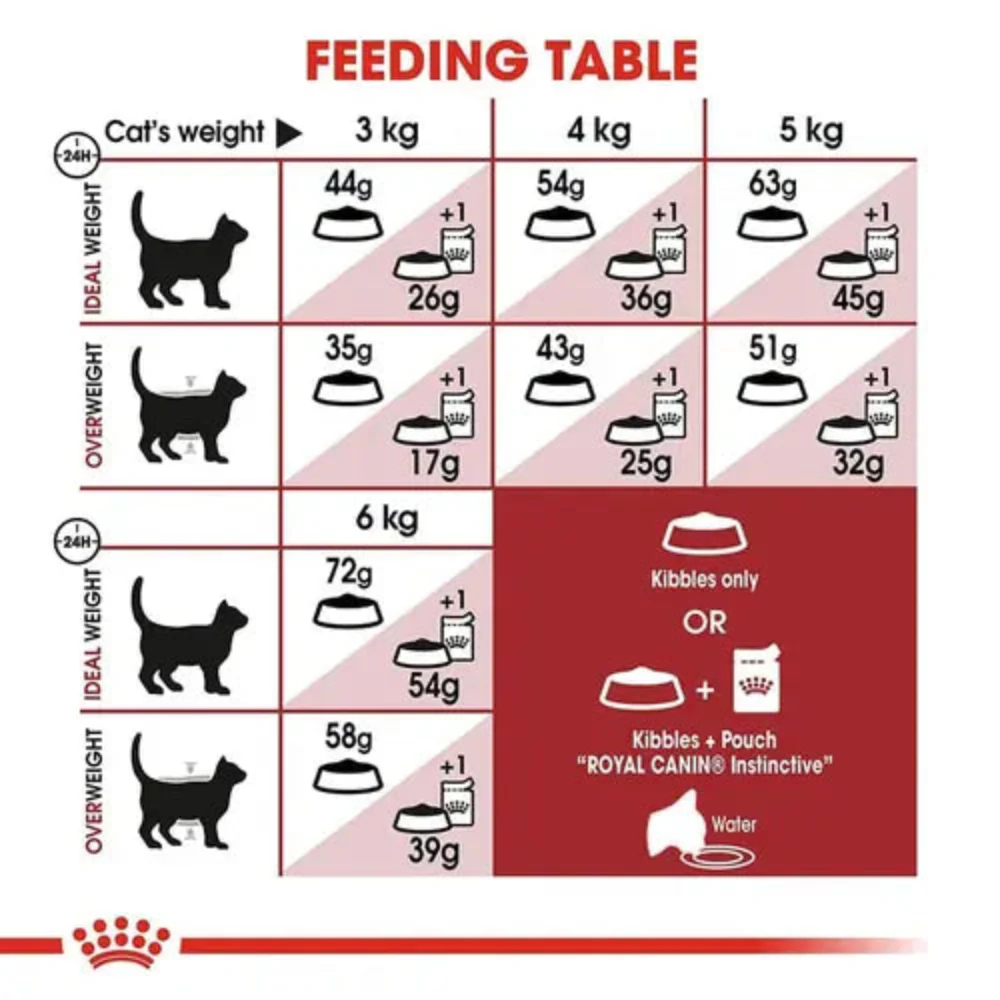 Royal Canin Fit 32 Regular for Adult Cat Dry Food - Image 5