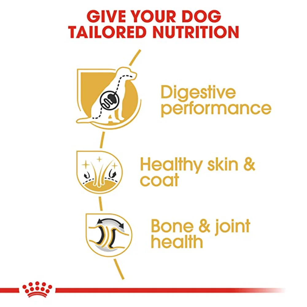 Royal Canin German Shepherd 5+ Adult Dog Dry Food - Image 3
