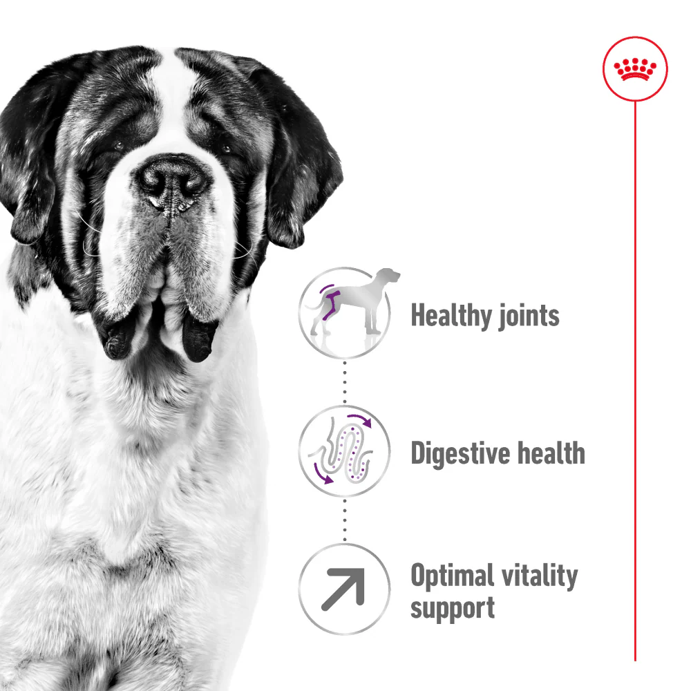 Royal Canin Giant Adult Dog Dry Food - Image 2
