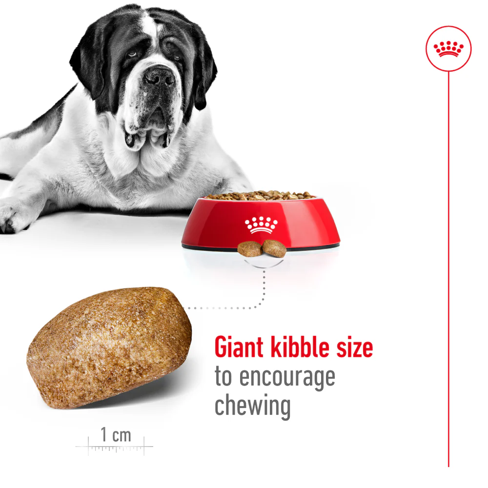 Royal Canin Giant Adult Dog Dry Food - Image 4