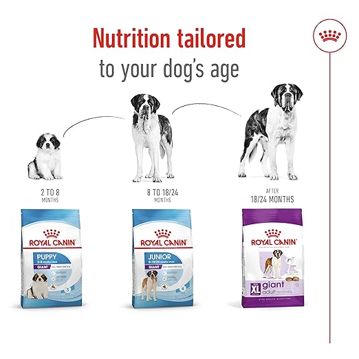 Royal Canin Giant Adult Dog Dry Food - Image 6