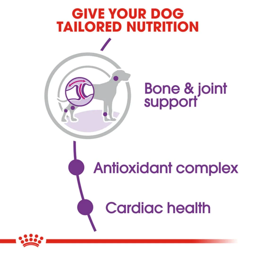 Royal Canin Giant Adult Dog Dry Food - Image 9