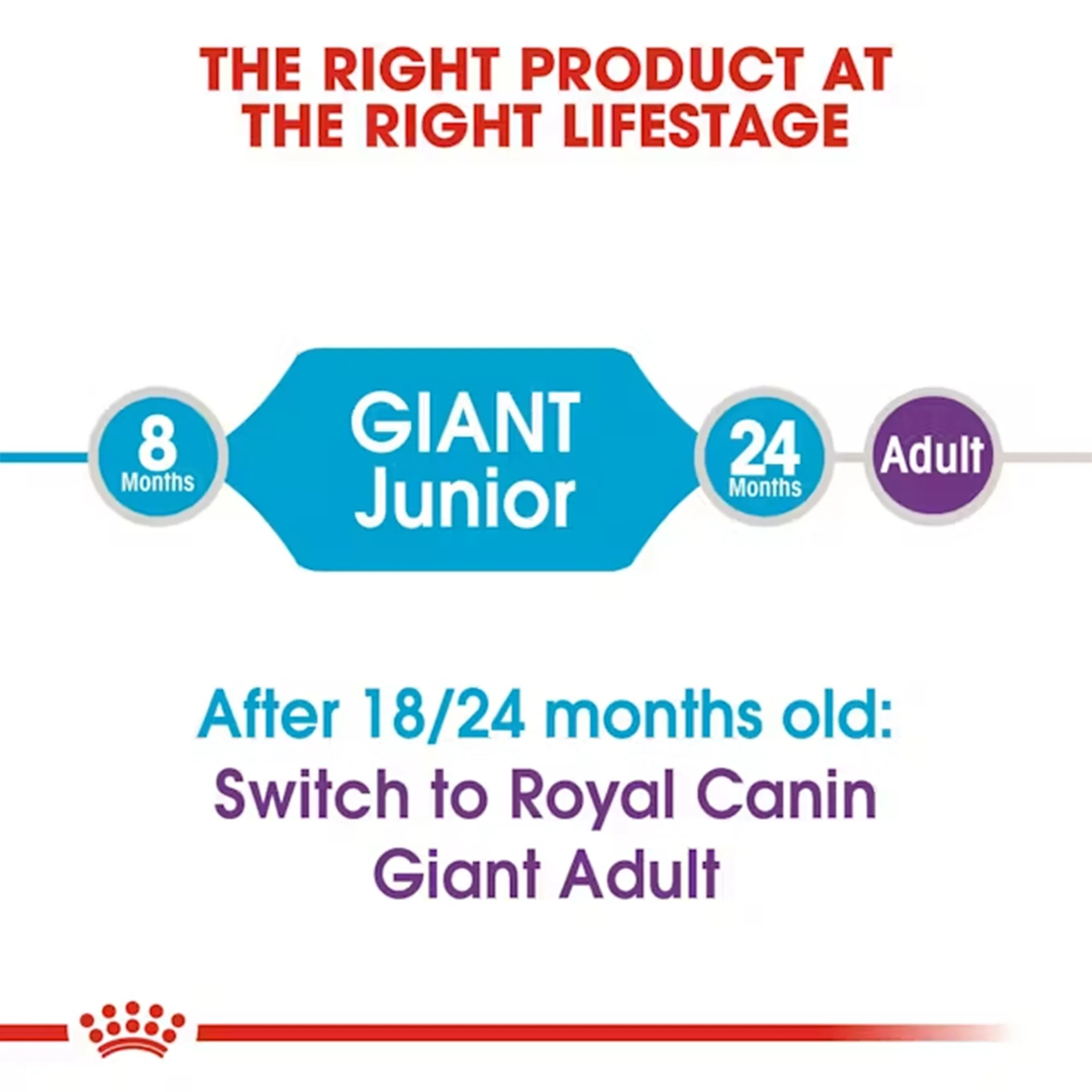 Royal Canin Giant Junior Dry Dog Food - Image 5