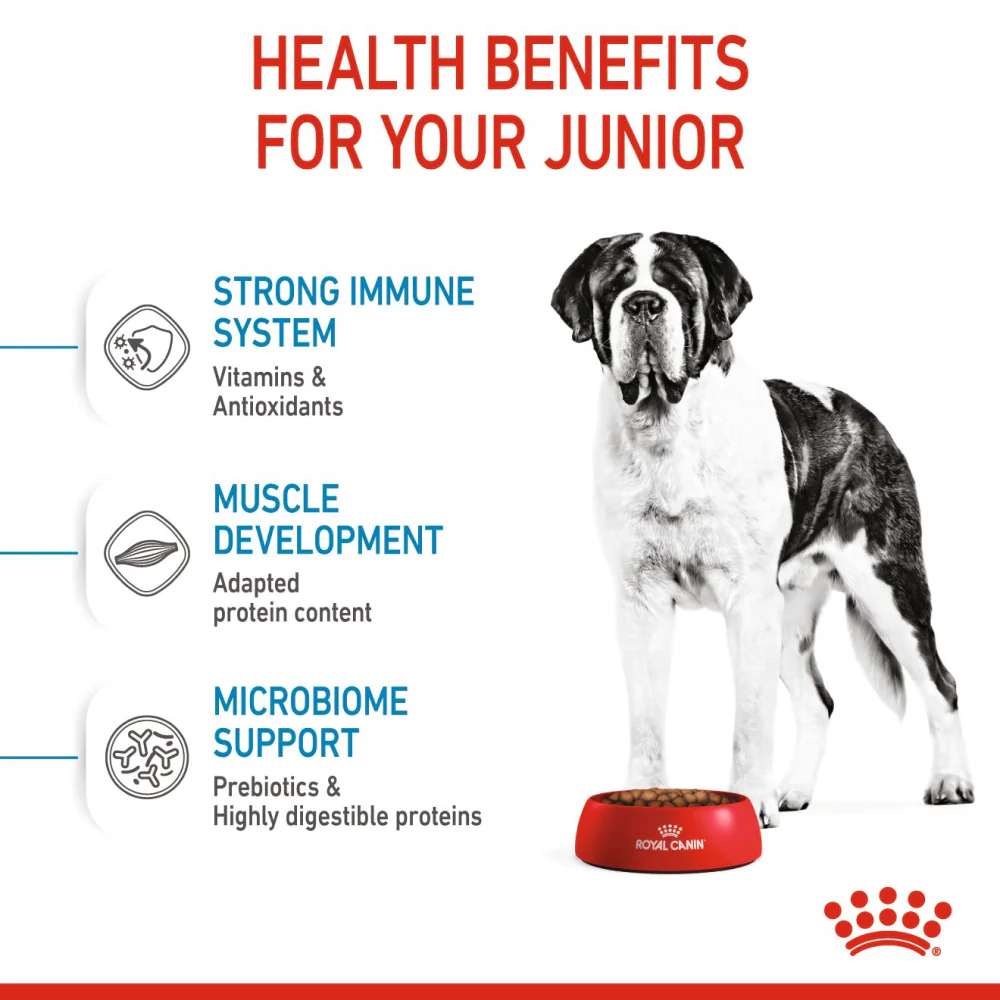 Royal Canin Giant Junior Dog Dry Food - Image 4