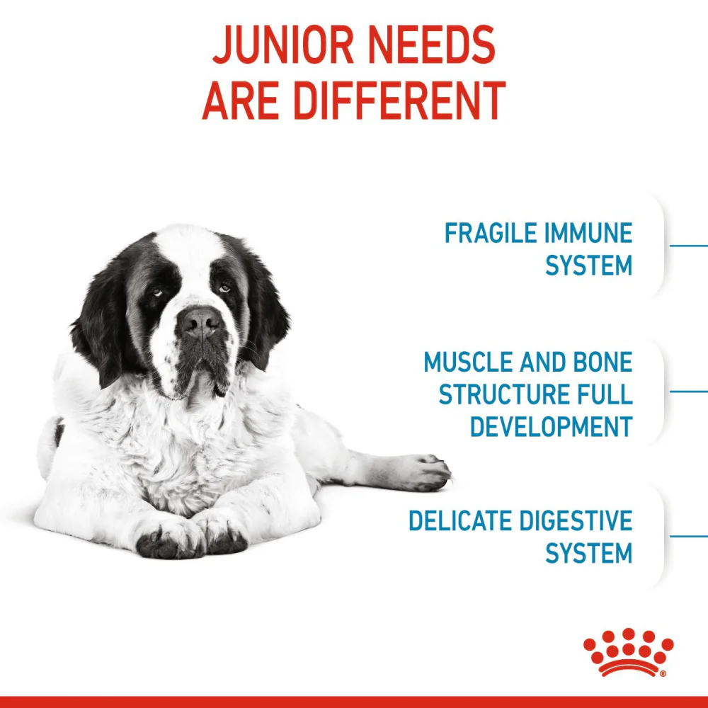 Royal Canin Giant Junior Dog Dry Food - Image 5