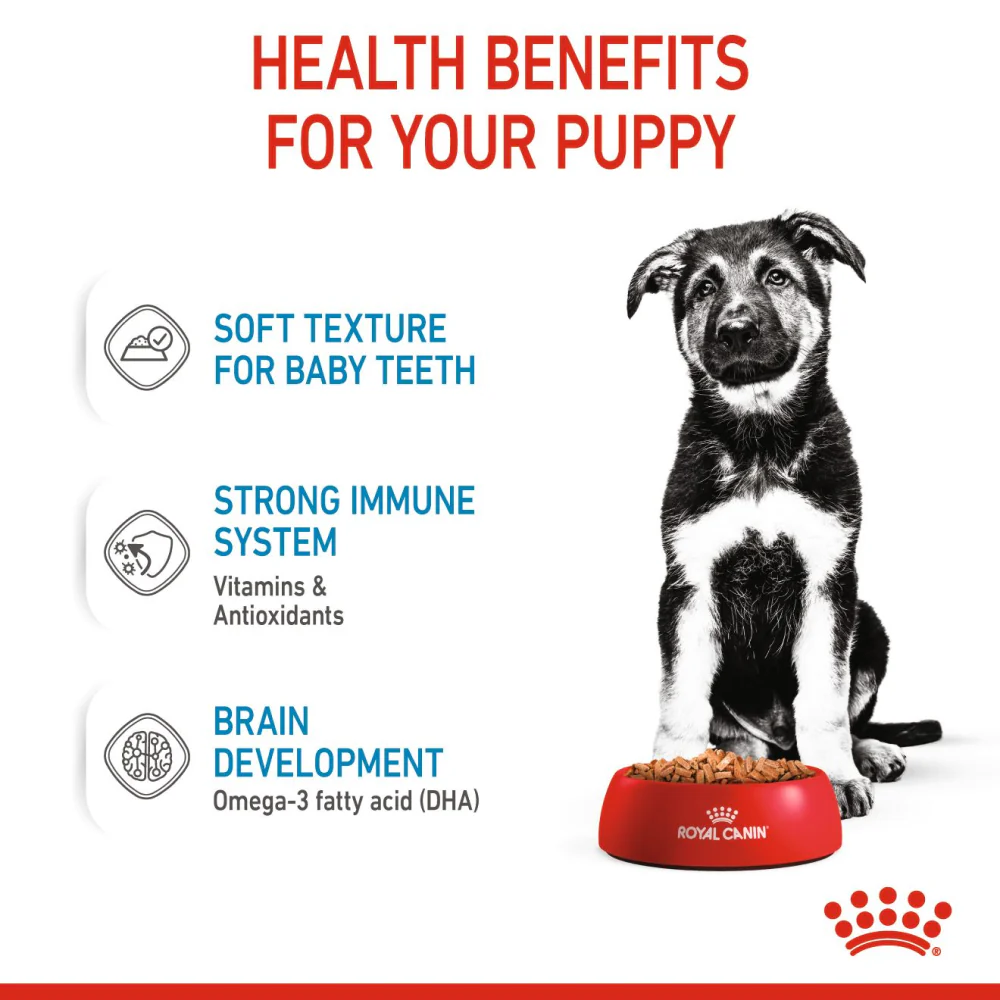 Royal Canin Giant Puppy Dry Food and Maxi Puppy Dog Wet Food Combo - Image 12