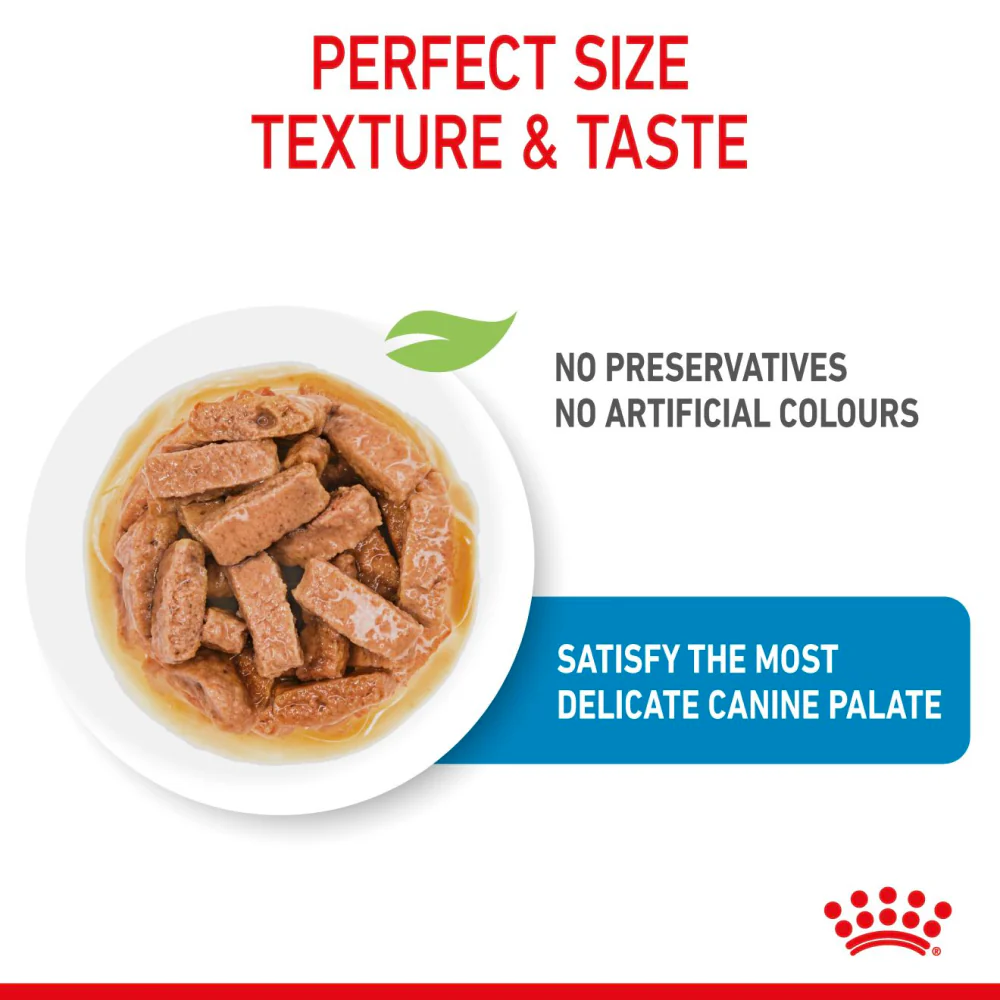 Royal Canin Giant Puppy Dry Food and Maxi Puppy Dog Wet Food Combo - Image 13