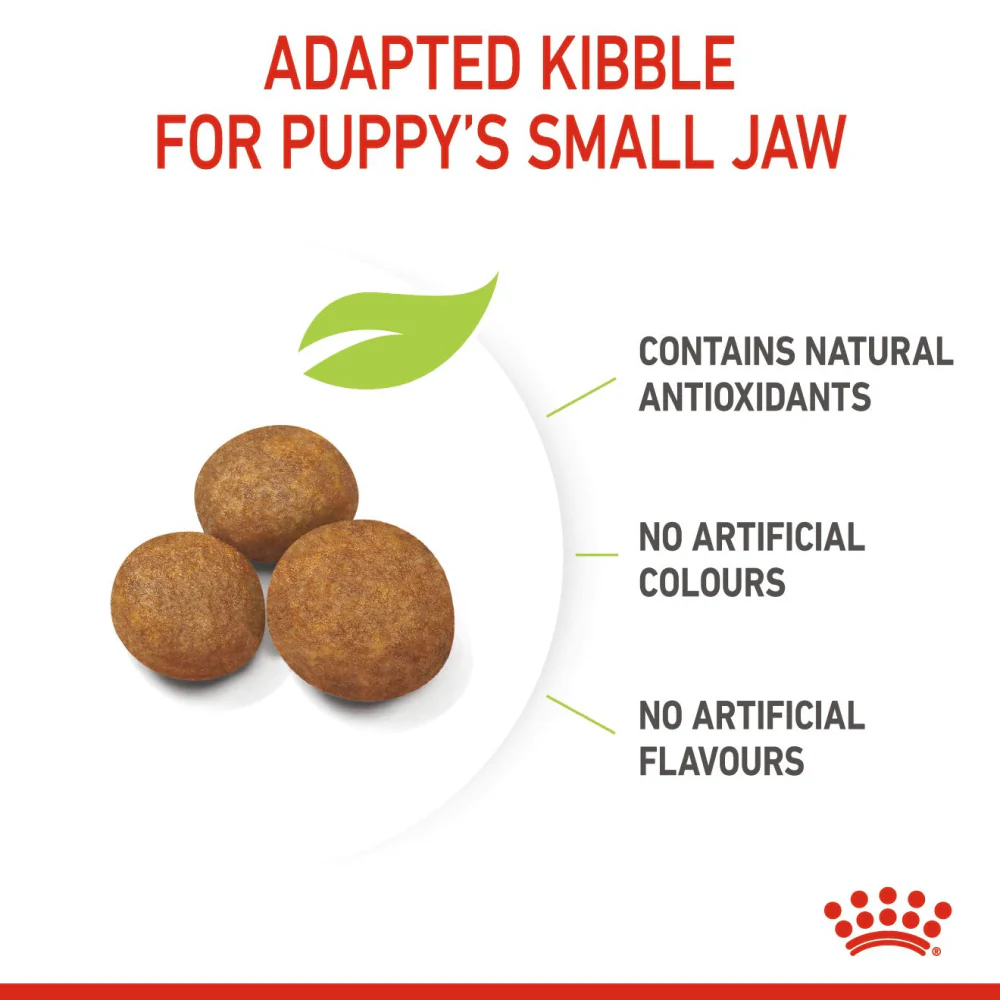 Royal Canin Giant Puppy Dry Food and Maxi Puppy Dog Wet Food Combo - Image 4